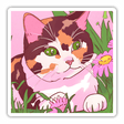 Colorful Calico Cat