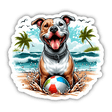 Beachin' It Pitbull