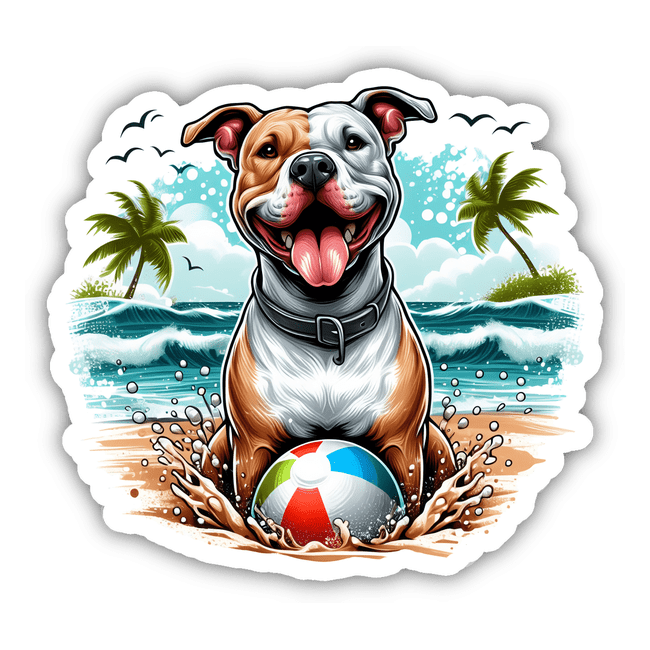 Beachin' It Pitbull