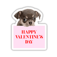 DOG HOLDING HAPPY VALENTINE'S DAY SIGN