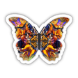 Colorful Butterfly