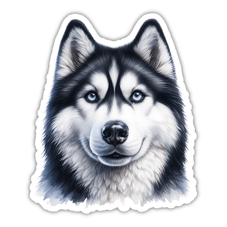 Beautiful Husky Sticker