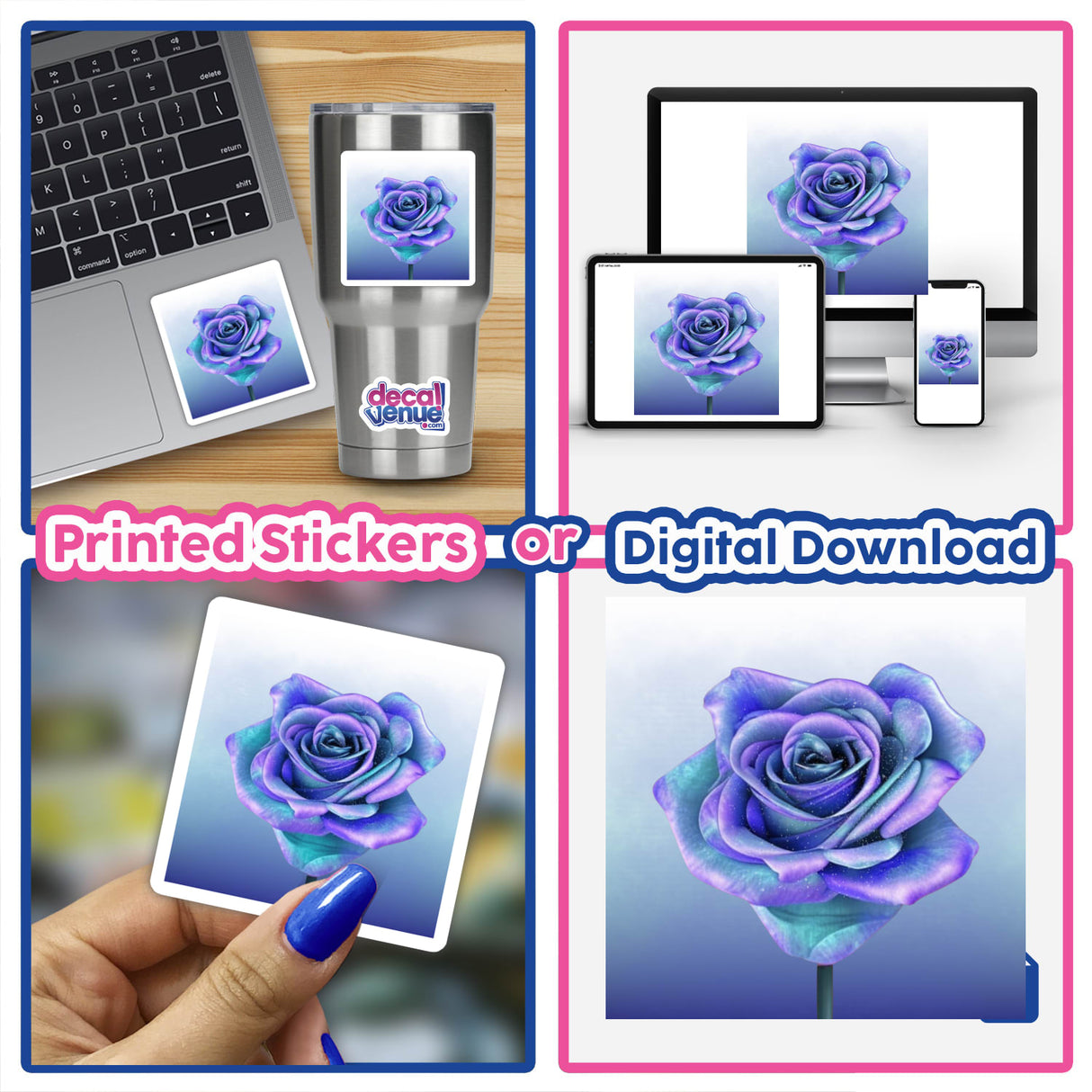 Collage featuring a Blue Rose sticker on a laptop, a hand holding a rose sticker, and close-up shots of the Blue Rose.