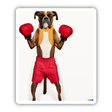 Boxing Boxer Dog