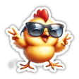 Cool Chick Chicken