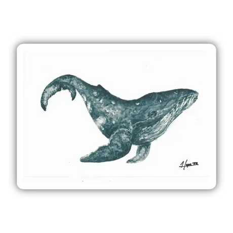 Humpback whale