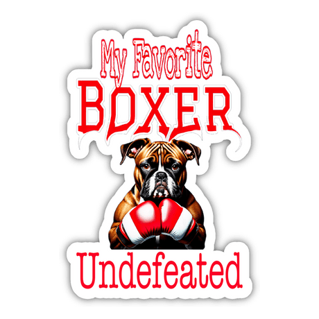 Boxer dog lover