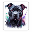 Holographic Colored Black Pitbull