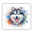 Happy Watercolor Splatter Husky Face