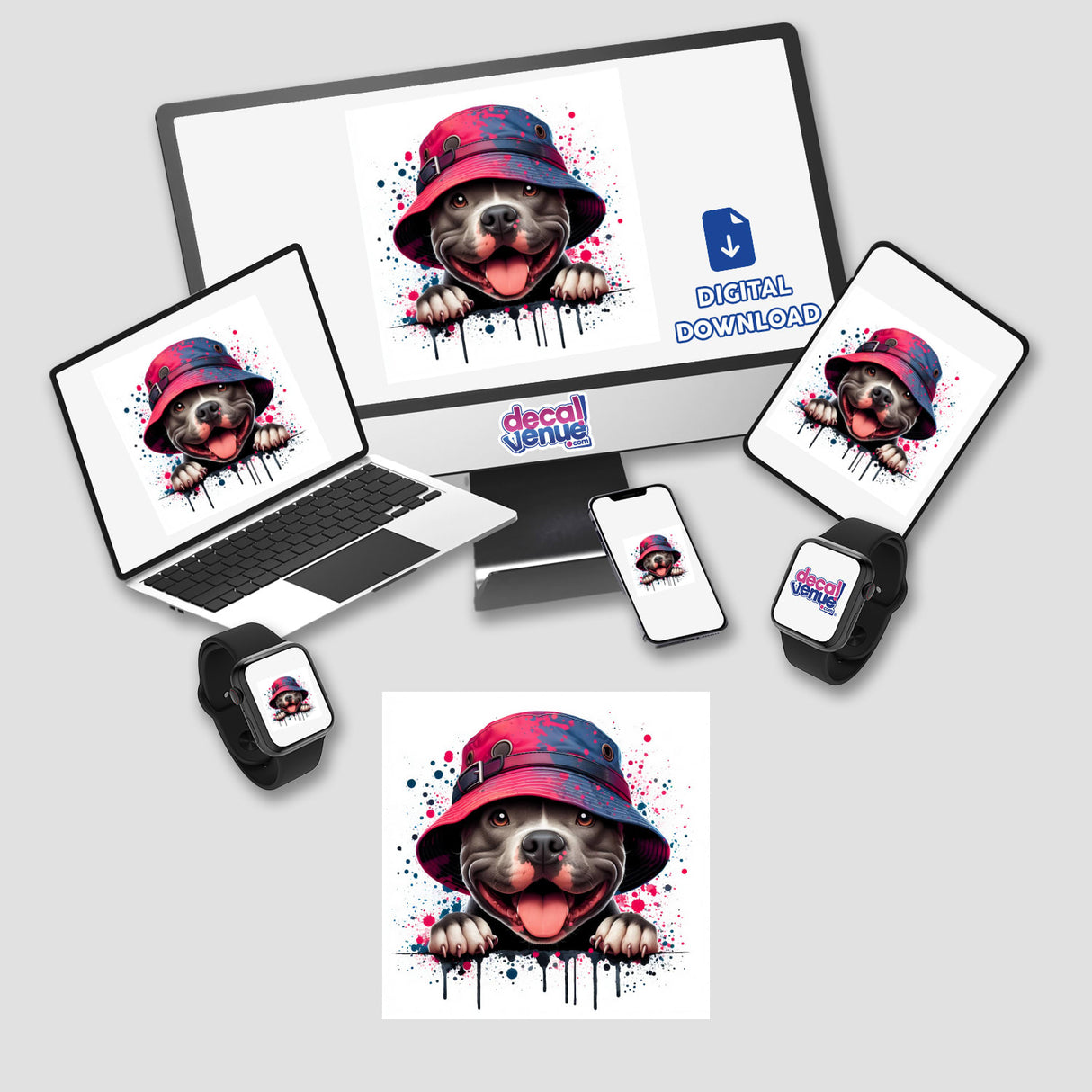 Peeking Pitbull w/ Pink Purple Bucket Hat