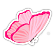 Pink Butterfly With Pale Pink Stripes And Magenta Edges