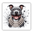 Gray Pitbull w/ Strands of Pearl Choker