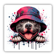 Peeking Pitbull w/ Pink Purple Bucket Hat