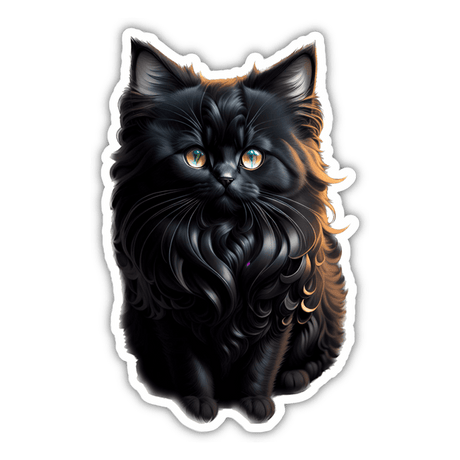 Fluffy Black Cat